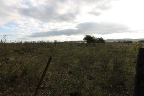 Campo en venta en Maldonado